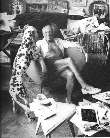 17201137_1272823276144030_6631191209203576000_n