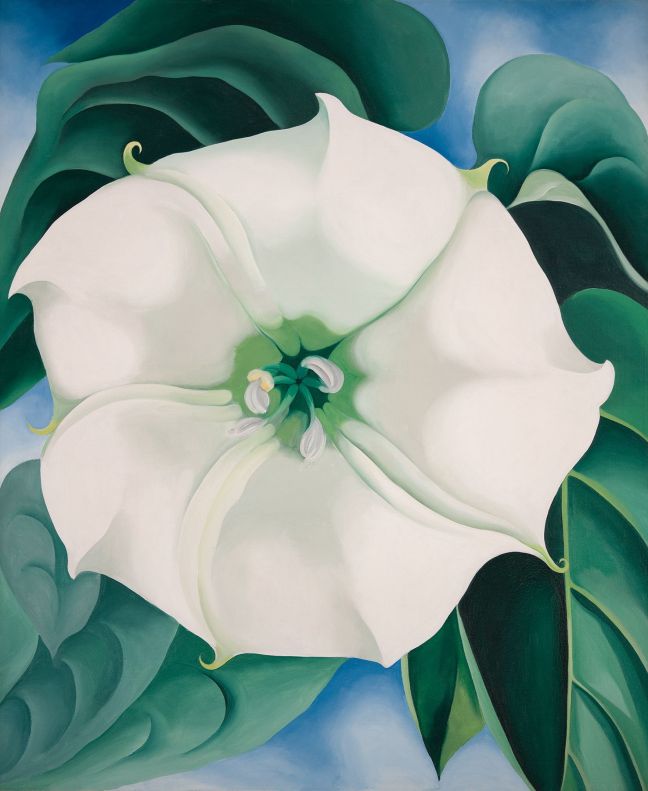 okeeffe05
